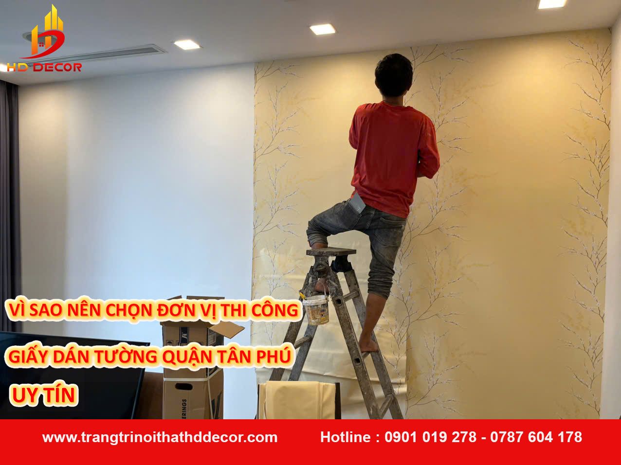 Vì sao nên chọn đơn vị thi công giấy dán tường uy tín quận tân phú 