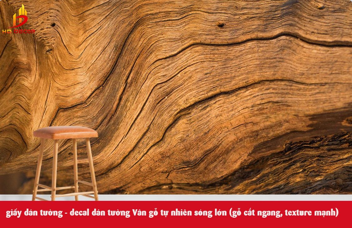 giấy dán tường - decal dán tường Vân gỗ tự nhiên sóng lớn (gỗ cắt ngang, texture mạnh)