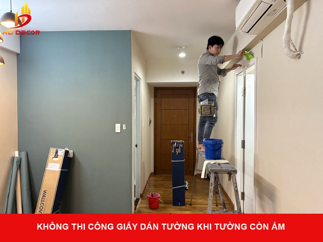 không thi công giấy dán tường khi tường còn ẩm