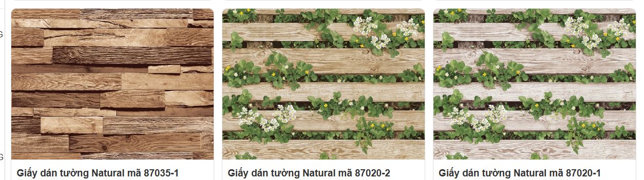 những mẫu giấy dán tường giả gỗ đẹp nhất hiện nay 