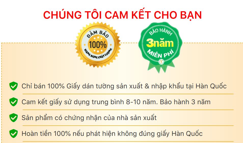 thi công giấy dán tường giá rẻ tại bình dương 