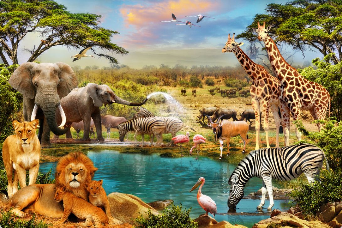 tranh dán tường 3D phong cách hoang dã