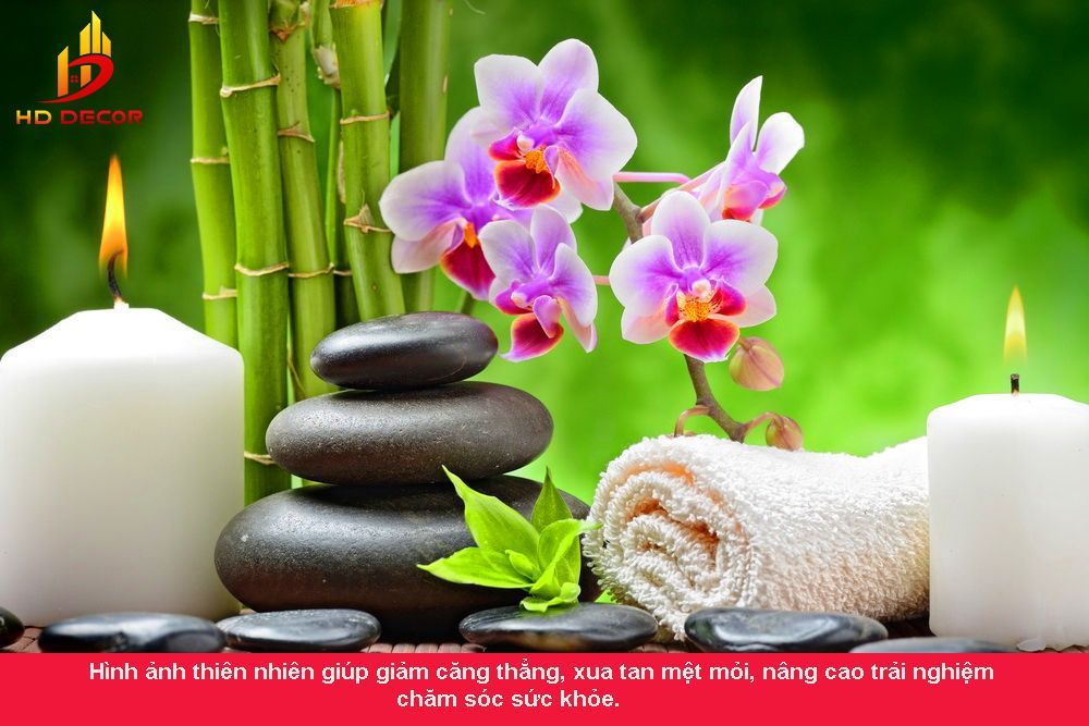 tranh dán tường thiên nhiên cho spa