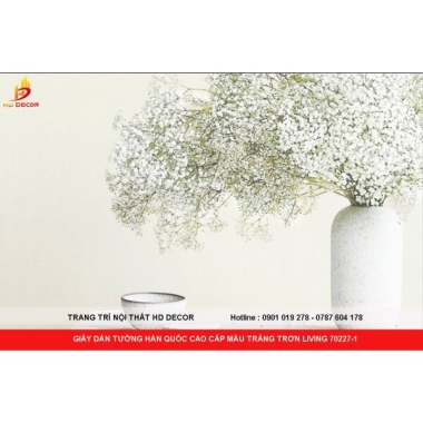 GIẤY DÁN TƯỜNG HÀN QUỐC CAO CẤP MÀU TRẮNG TRƠN LIVING 70227-1