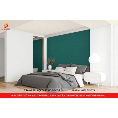 GIẤY DÁN TƯỜNG MẪU TRƠN MÀU XANH LÁ CÂY CHO PHÒNG NGỦ NGƯỜI  MỆNH MỘC   