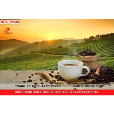 MẪU TRANH DÁN TƯỜNG QUÁN CAFE - TRÀ SỮA ĐẸP NHẤT 