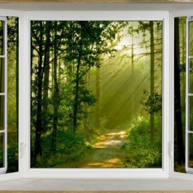 TRANH DÁN TƯỜNG 3D  CỬA SỔ PHONG CẢNH RỪNG XANH 